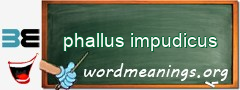 WordMeaning blackboard for phallus impudicus